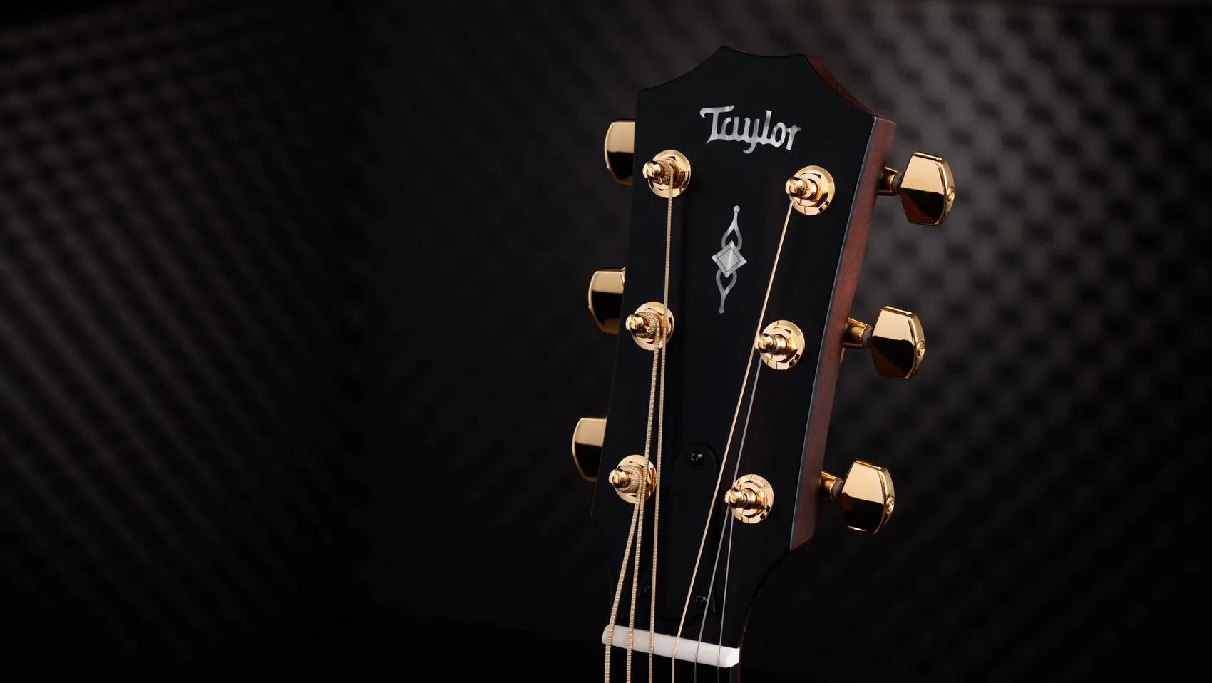 50th Anniversary 316ce バリトン -6 LTD サペリ アコースティック